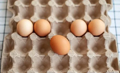 A few brown eggs among the empty cells of a large cardboard bag Stock Photos