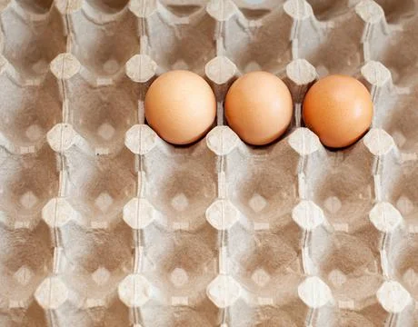 A few brown eggs among the empty cells of a large cardboard bag Stock Photos