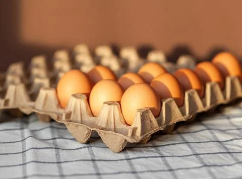 A few brown eggs among the empty cells of a large cardboard bag Stock Photos