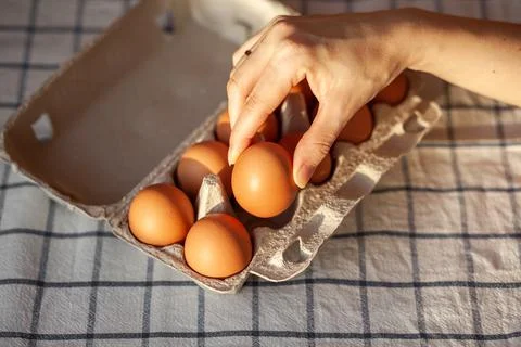 A few brown eggs among the empty cells of a large cardboard bag Stock Photos