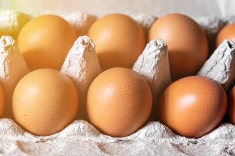 A few brown eggs among the empty cells of a large cardboard bag Stock Photos