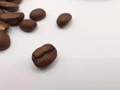 A few coffee beans Stock Photos