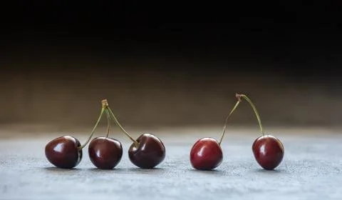 Few dark sweet cherries on brown and gray blue Stock Photos