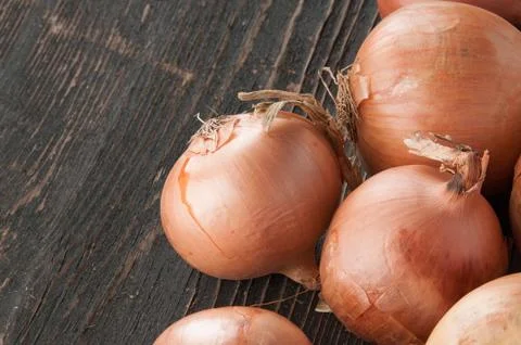Few different onions Stock Photos