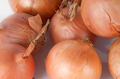 Few different onions Stock Photos