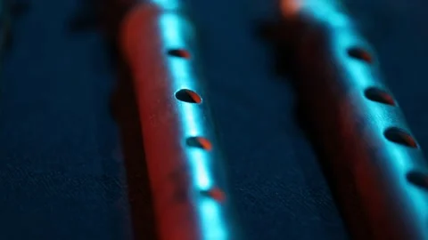 A few duduks in the frame 17 Stock-Footage 311340958