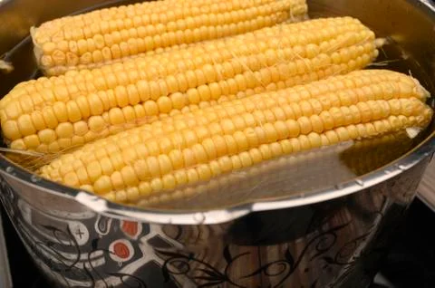 A few ears of corn are cooked in a saucepan. Healthy diet. Fitness diet. For  Stock Photos