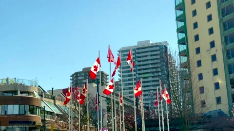 A few flags of Canada on tall poles on a city background. 4k. Stock Footage 152604569