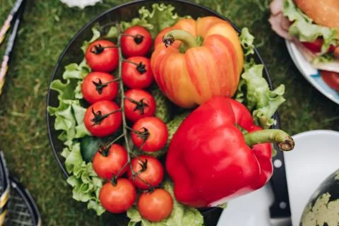 Few of fresh appetizing vegetable in plate on green grass at sunny summer day Stock Photos