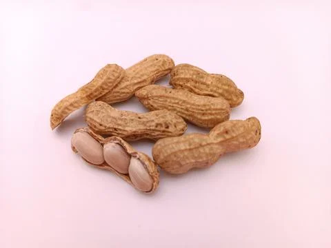 A few nuts on white background Stock Photos