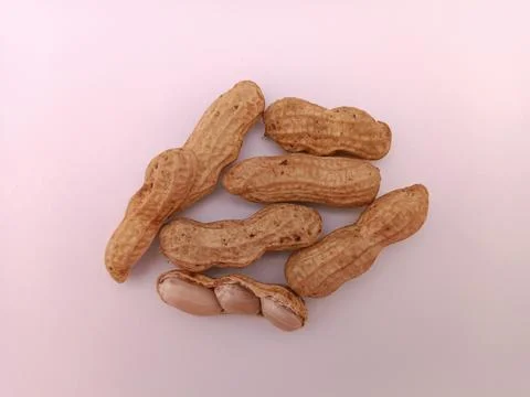 A few nuts on white background Stock Photos
