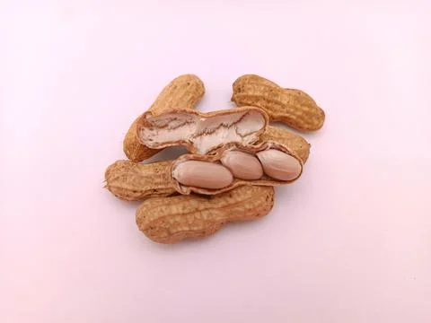 A few nuts on white background Stock Photos