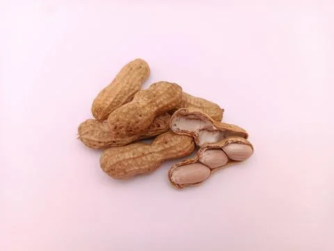 A few nuts on white background Stock Photos