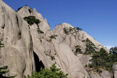 Few pine trees in Mountain under sunny day in Yellow Mountain of Anhui Stock Photos