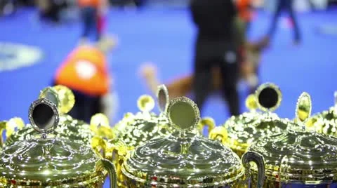 Few prize cups at unfocused background with people and their dogs at contest Stock Footage 10852349