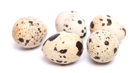 Few quail eggs Stock Photos