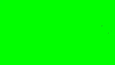 A few quick seniors take off from the right side Chromakey footge Clear in and Stock Footage 114357749