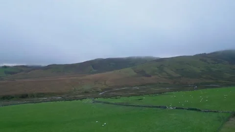 Few Sheep in fields, Aerial shot foggy day over Cawdale Beck Brampton Cumbria Video stock 326969025