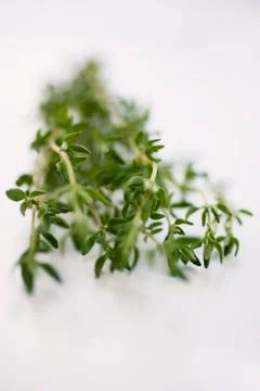 A few sprigs of thyme Stock Photos