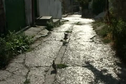 A few steps to the old street. Stock-Footage 11352857