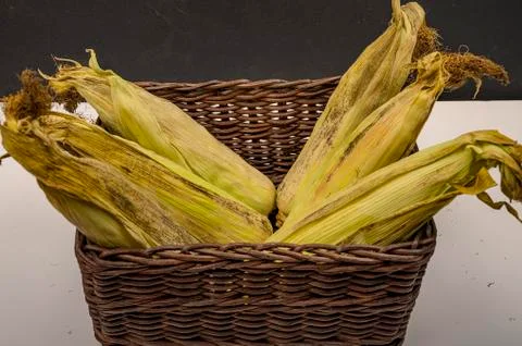 A few untreated ears of corn in a wicker basket on a white background. Autumn Stock Photos
