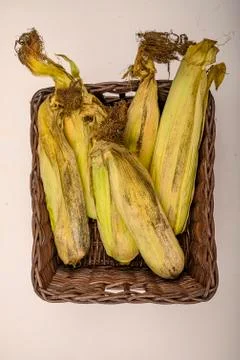 A few untreated ears of corn in a wicker basket on a white background. Autumn Stock Photos
