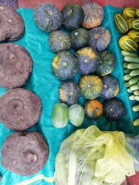A few vegetables isolated on a surface Stock Photos