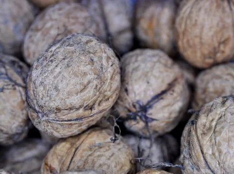 A few wallnuts Photos