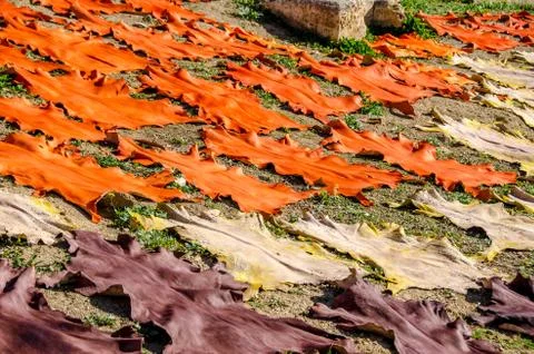 Fez leather drying in the sun. Stock Photos