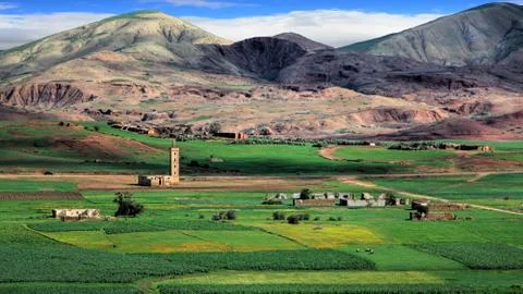 Fez in Morocco Stock Photos