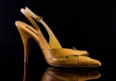 Ffemale shoe on a glossy black background Stock Photos