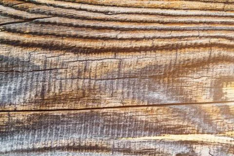 Ffilthy pine board with cracks Stock Photos