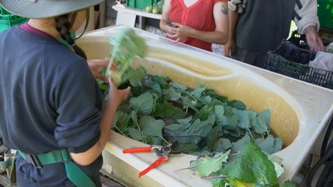 FG 210619 022 1 Stock Footage 111281942
