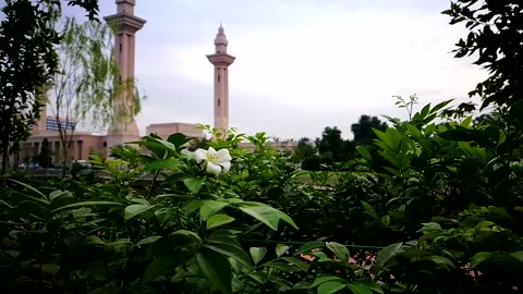 FG Flower n MOsque VID 20170622 072810 Stock Footage 145543473