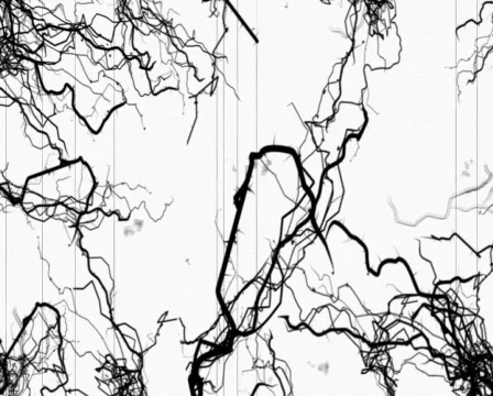 Fgrowing tendrils Video stock 630545