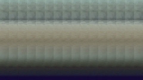 FHD clip of siamese cat breathing and then looks at camera Stock Footage 116347622