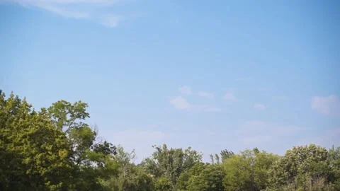 FHD Park/Forest shot with blue sky with clouds and trees Stock Footage 235022005