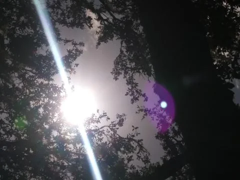 FHD very bright upward angled sun rays between clouds and trees Tampa Florida Stock-Fotos