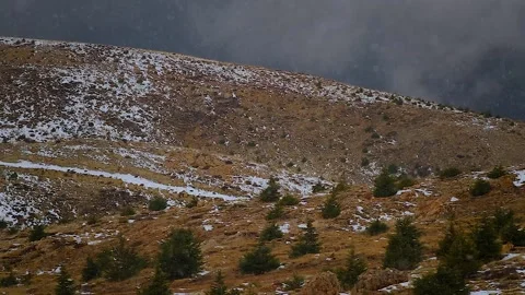 FHD Video of Snowing in the Mountains. Stock Footage 226550079