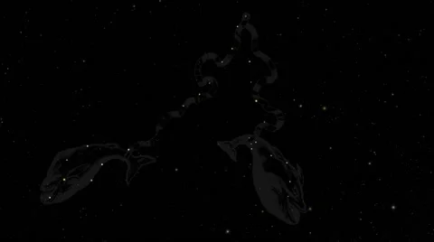 FHD/2K 3D View of Star Sign / Zodiac Sign / Sun Sign / Constellation Pisces Stock Footage 45957201