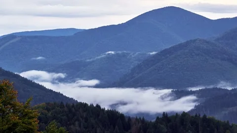 The FHmla spills over the spruce forest in the valley Stock-Footage 210233539