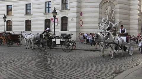 Fiaker 1 Stock Footage 83304065