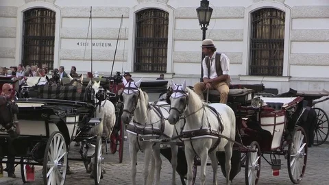 Fiaker 2 Stock Footage 83309651