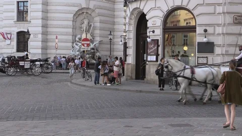 Fiaker 3 Stock Footage 87131493