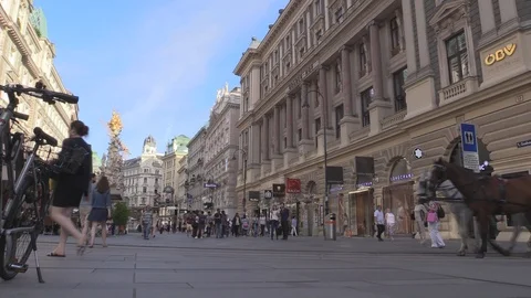 Fiaker 4 Stock Footage 87131694