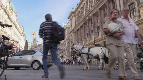 Fiaker 5 Stock Footage 87131691