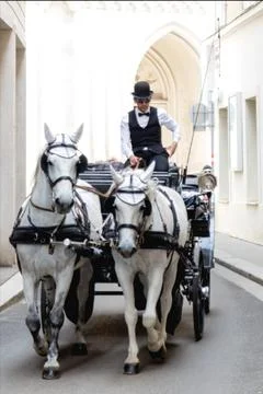 FIAKER  in Vienna Stock Photos