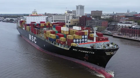 Fiammetta Vídeo Stock 128592271