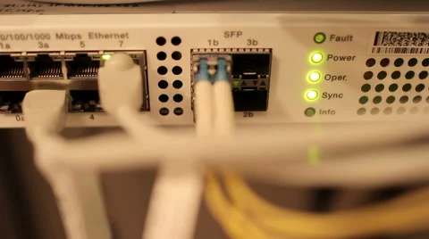 Fiber Cable connect to media converter Stock Footage 53256352