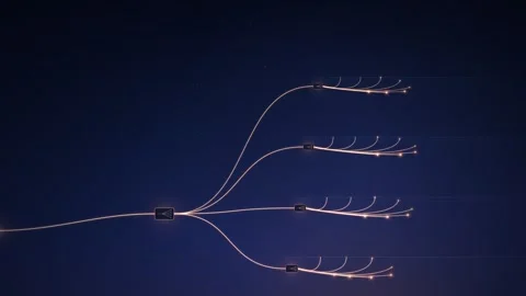 Fiber to the Home Optical Network Splitter Tree Animation Stock Footage 346828146